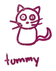 Tummy, el gato de CuteGlamGirl
